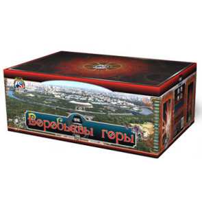 Воробьевы горы 01140